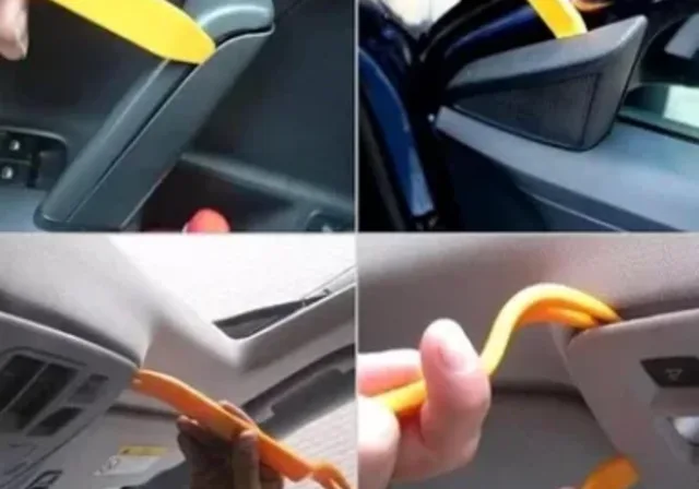 Trim Çalışması